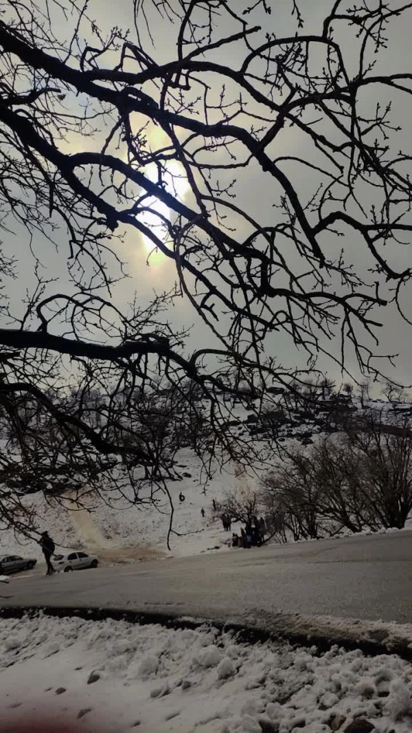 اردیبهشت