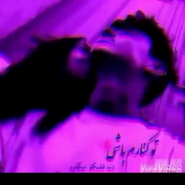 امیر