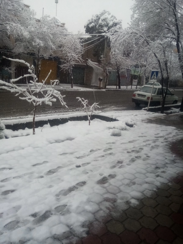 سیاره 6681