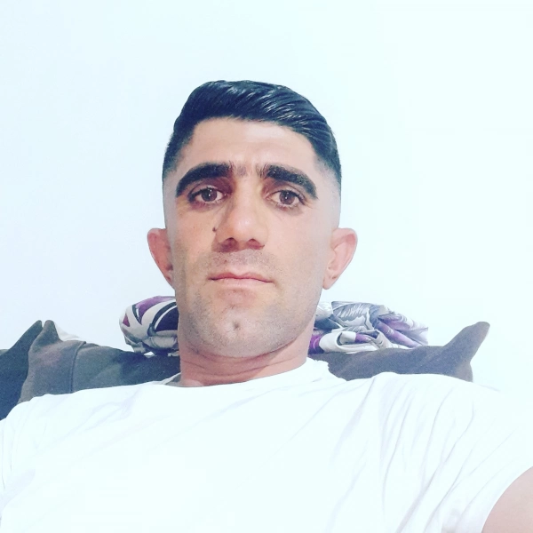 سیاره 6231