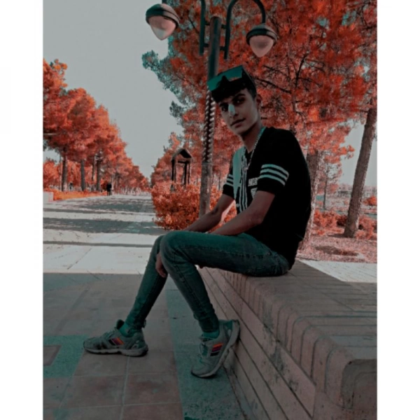 امیر