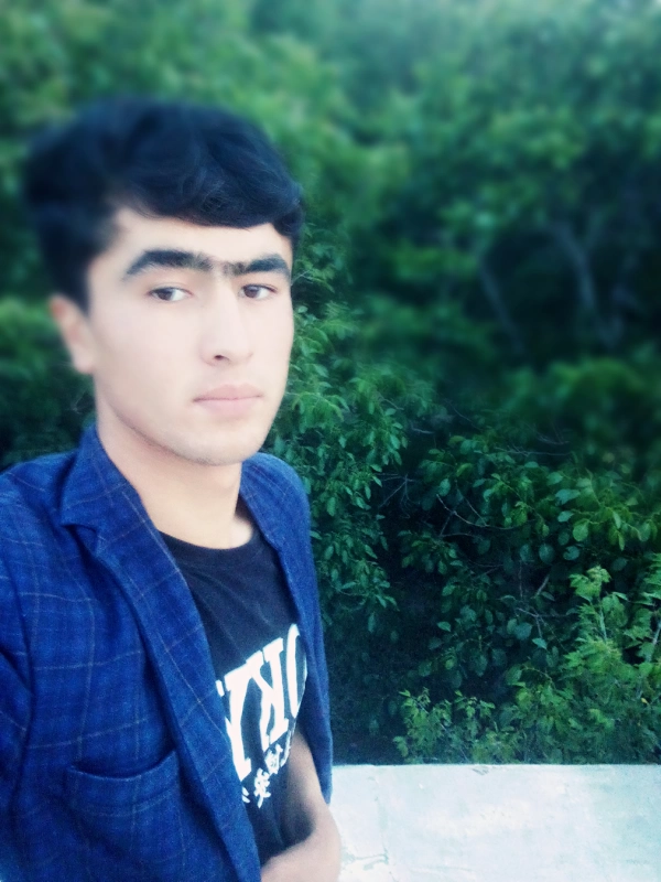 احمد ولی