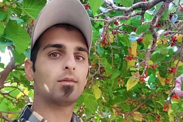 mohamabrostami1212@gmail.com