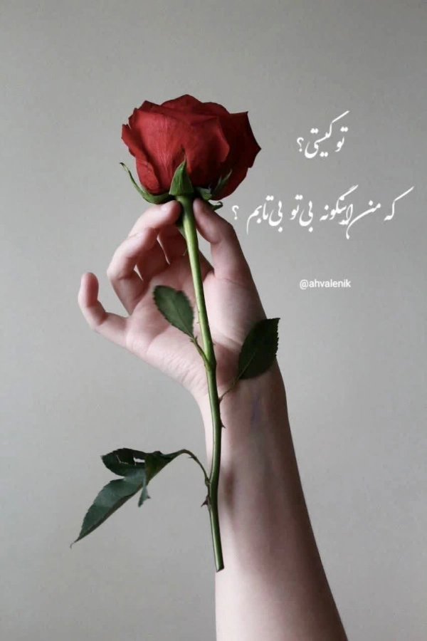 سینه سوخته.
