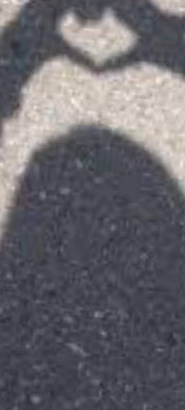 s..h