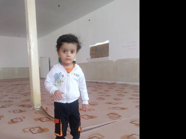 ali koochol