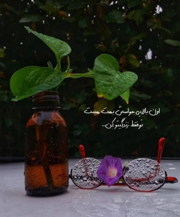 یا مهدی