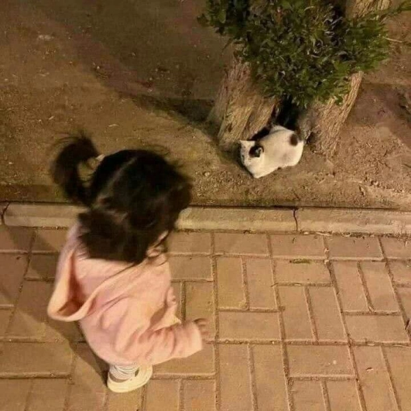 سیاره 7214