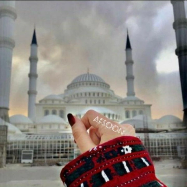 سیاره 3564