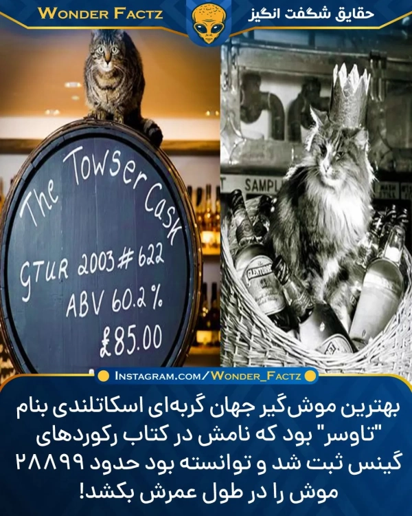 مریخ1356