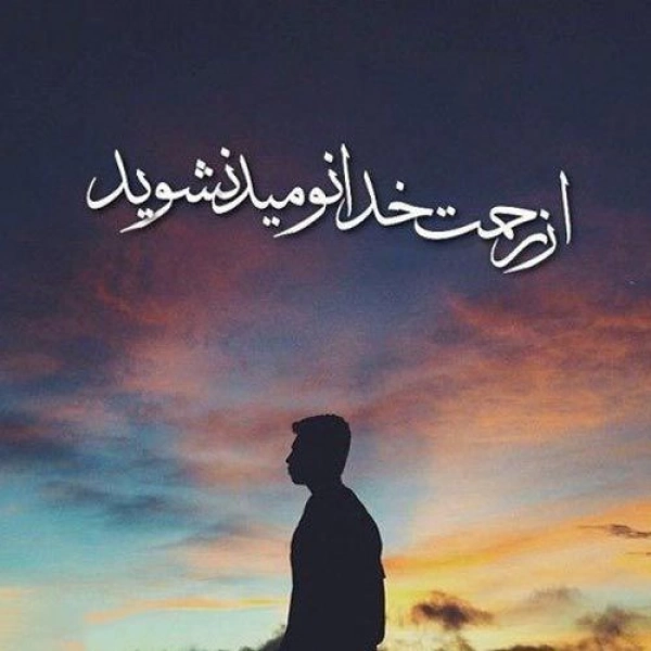 امیر