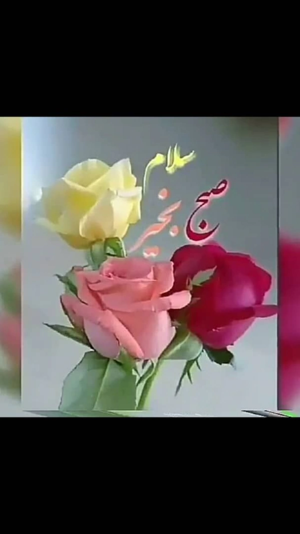 ali.70