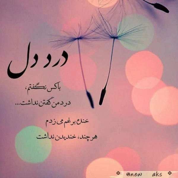 سیاره 8592