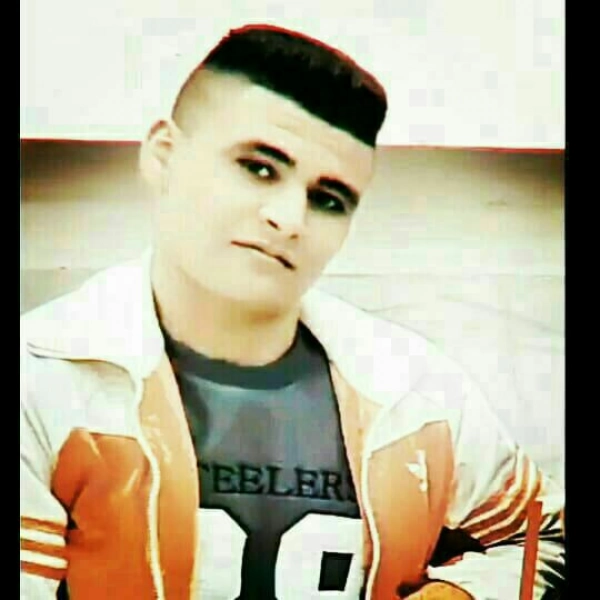 رضا هنرمند