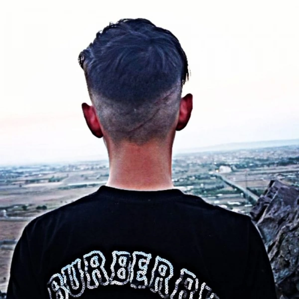روباه تاریک
