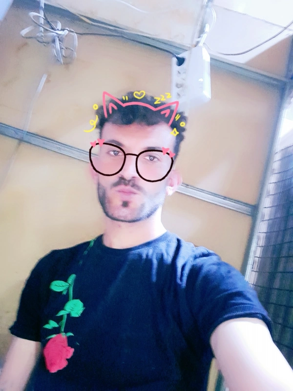 شاهین