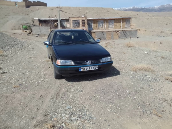 پسروک تنها