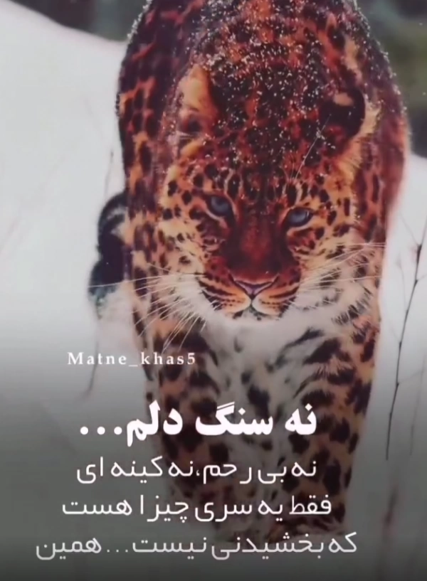 سیاره 7497 سعید
