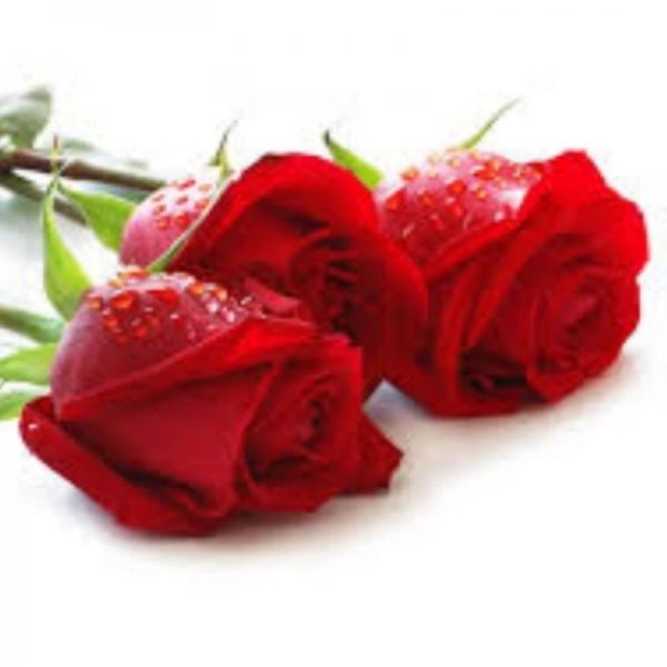 سامیارریگی@@@
