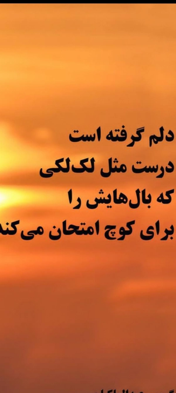 alireza