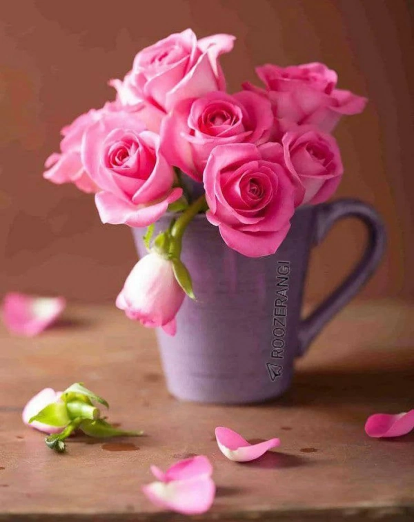 وحید میرزایی