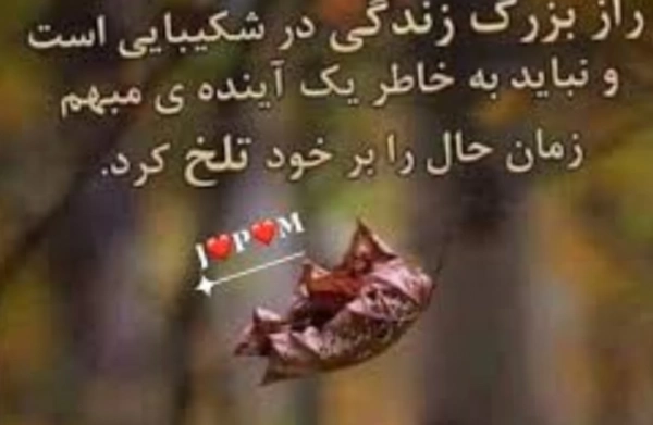 مخاطب ❤️