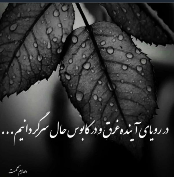 باخداباش پادشاهی کن