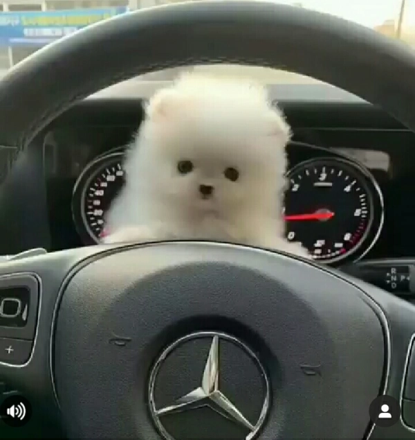 k. b