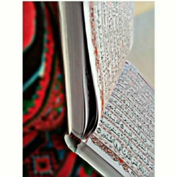 مونی