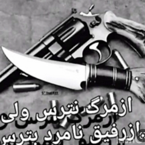 سیاره 1566