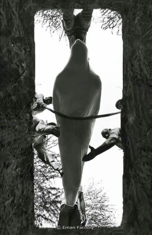 فضا