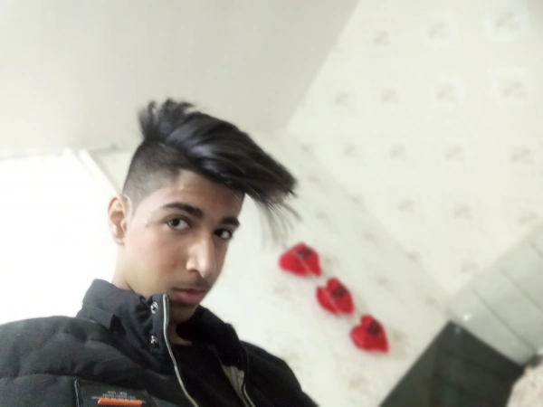 محمدرضا