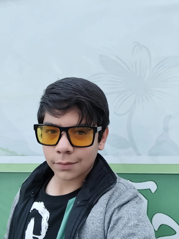 AMIR SAMAN