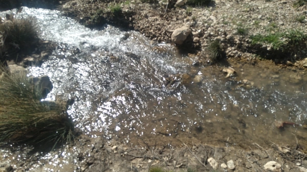 مهدی