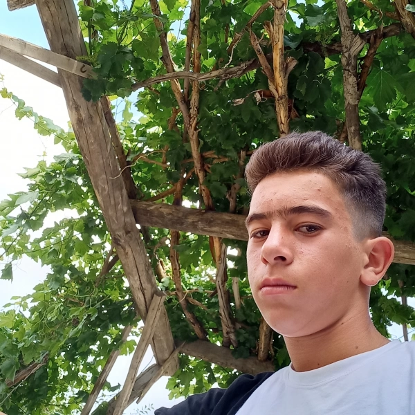 سیاره 4183