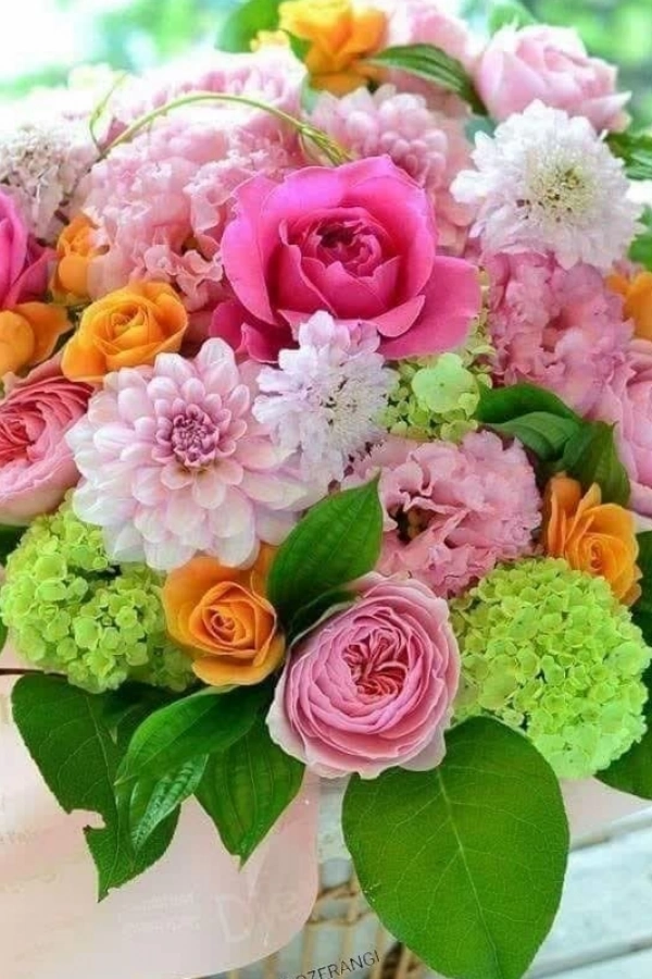 سیاره 3223