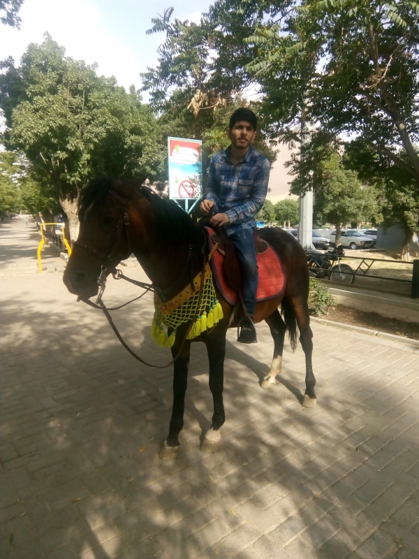 behrooz