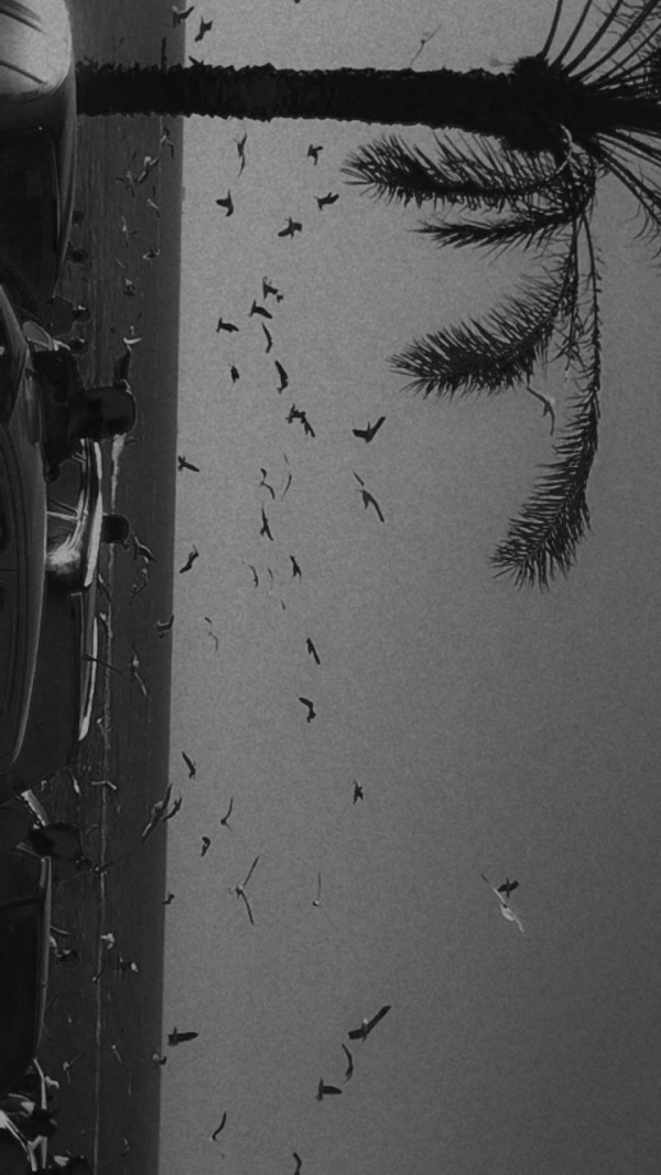 kimia