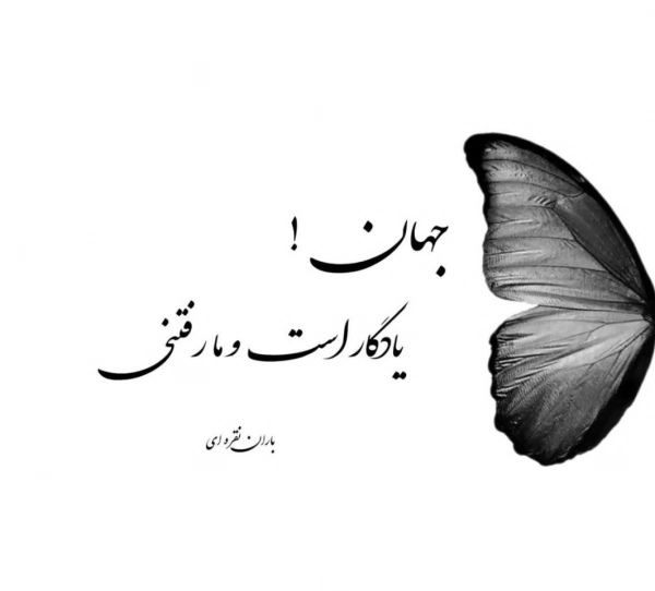 سیاره 8817