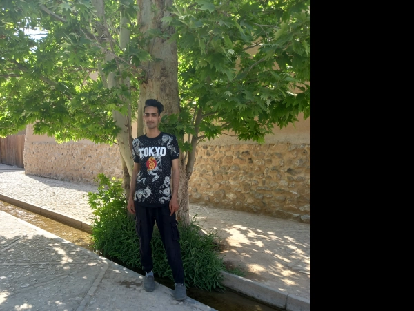 سیاره 8245