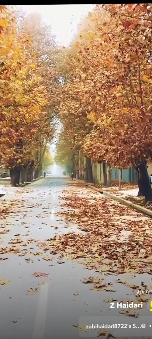 زهره برازنده