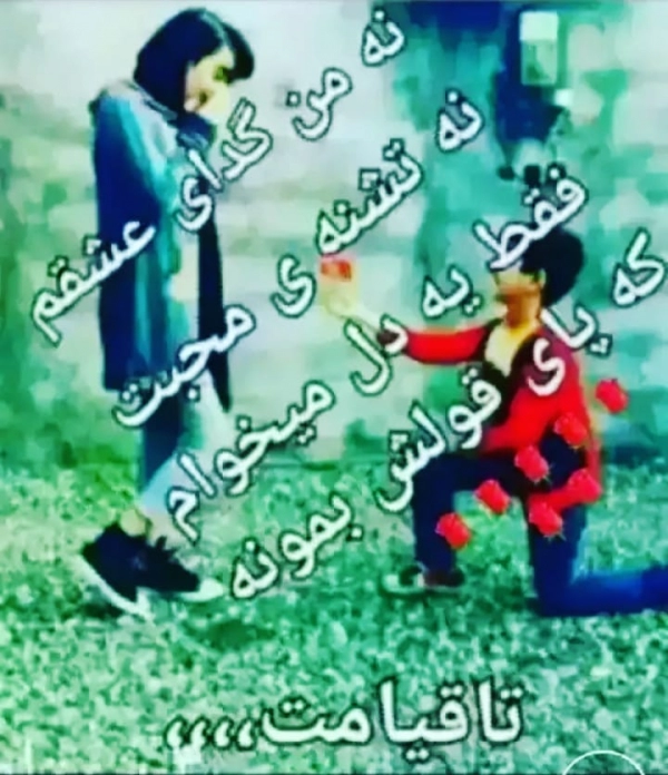 گل جان شریفی