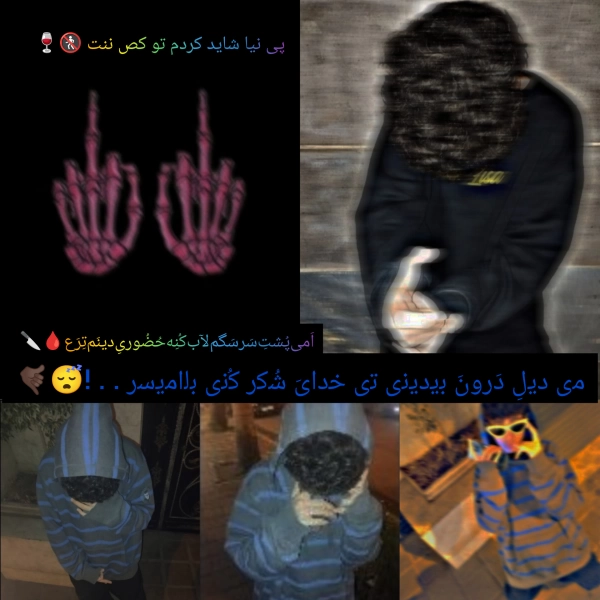 amir