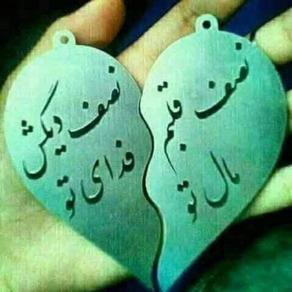 سیاره 8446