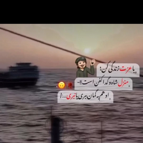 امیر