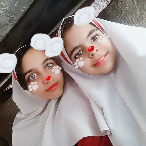 سیاره 3365