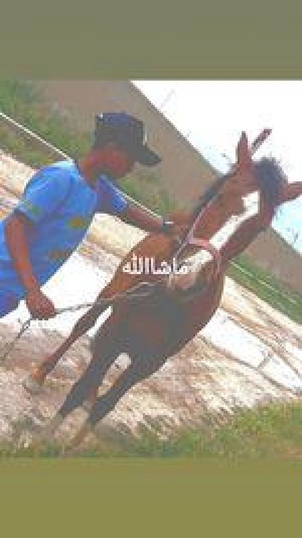علی