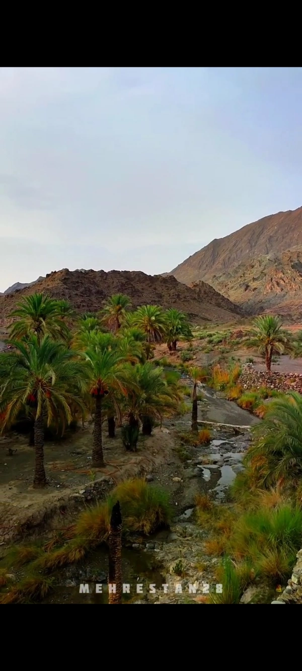 نسزنرننببنزنز