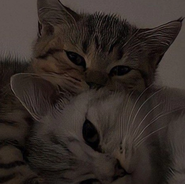دخترگمشده