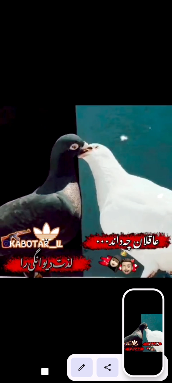yasin